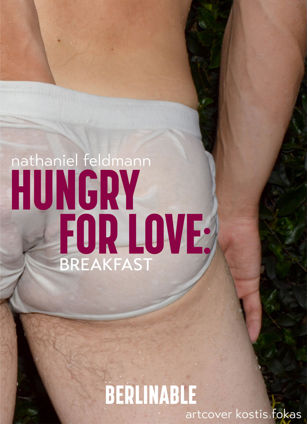 gay erotica author cover eBook by Kostis Fokas for Nathaniel Feldmann