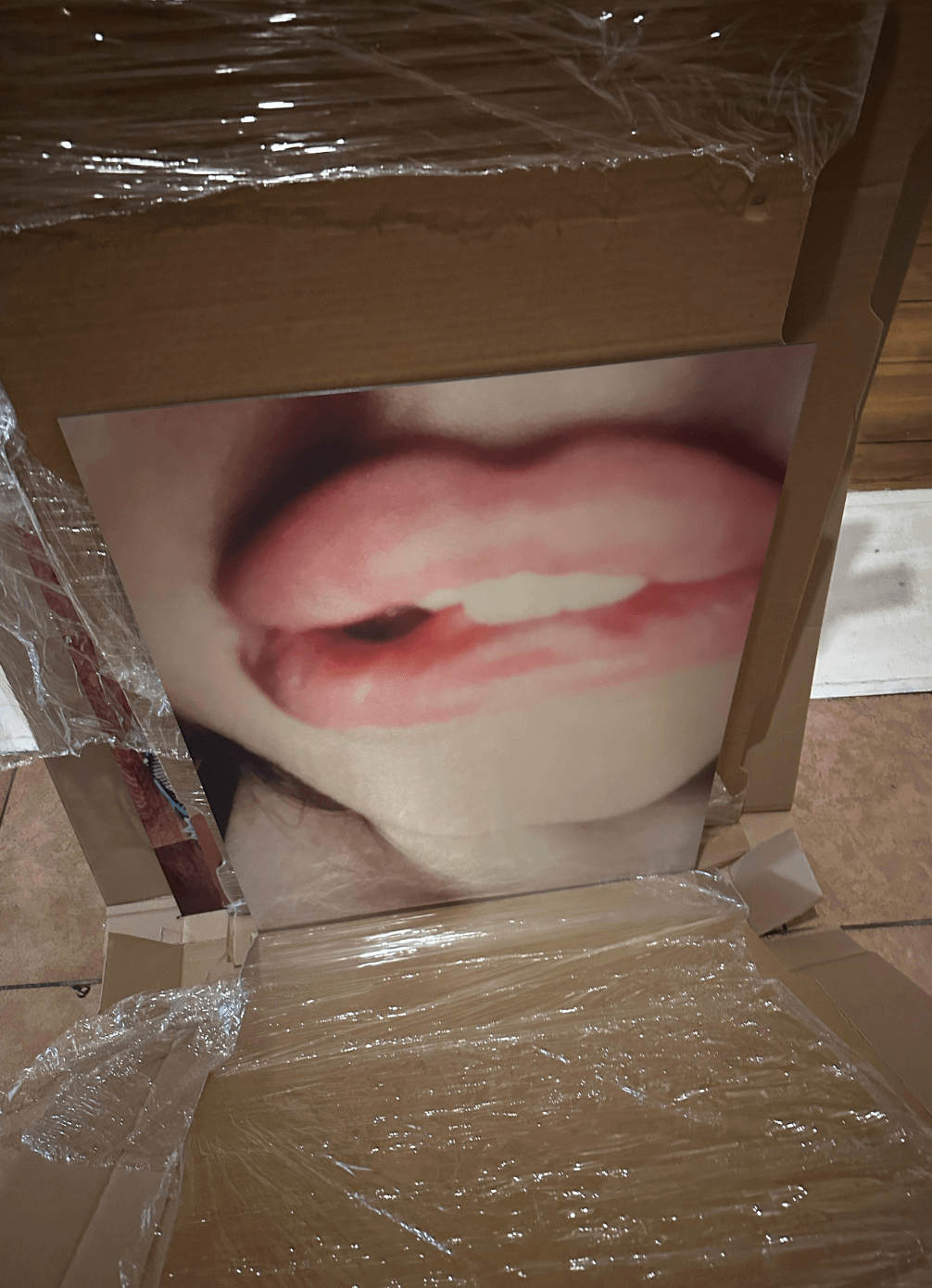 backstage photo gallery chris von symbiotikka